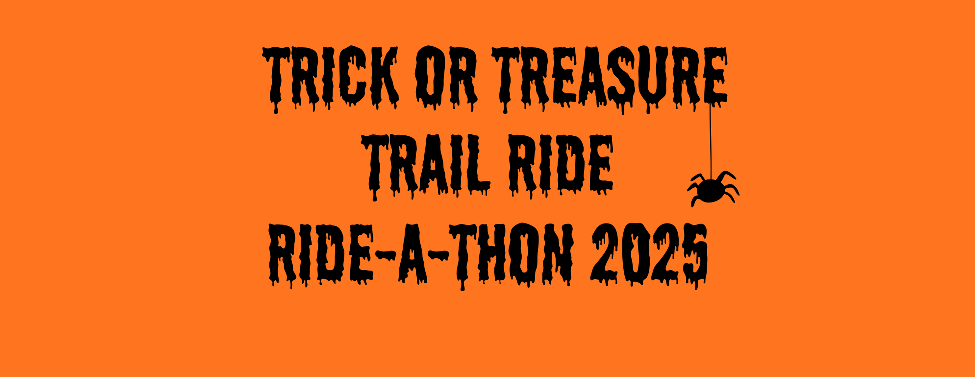 Loudoun Therapeutic Riding Inc. Ride A Thon